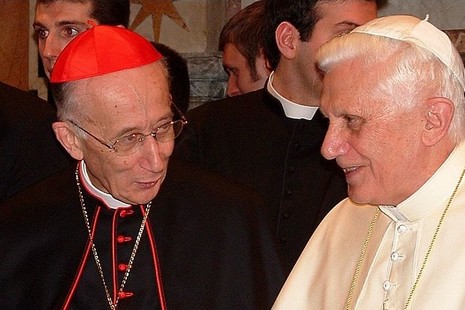 CARDINALS PETITIONED FOR JP2 FAST TRACK