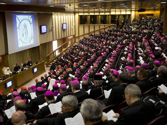 WHAT IS THE SYNOD OF BISHOPS AND WHY IS IT IMPORTANT?